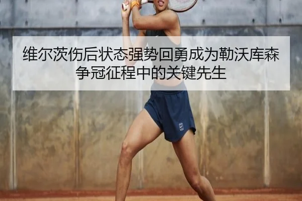 维尔茨伤后状态强势回勇成为勒沃库森争冠征程中的关键先生 | kaiyun